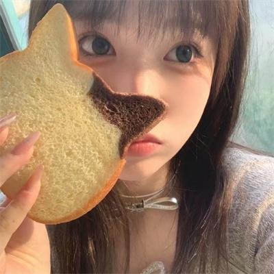 追梦小海豚
